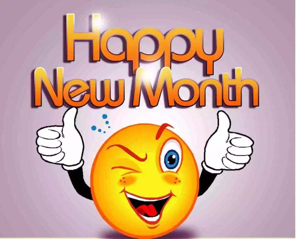new month wishes
new month quotes
happy new month my love
funny new month messages