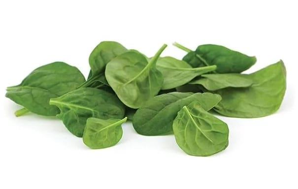 Top 10 Foods Rich in Iron-Spinach