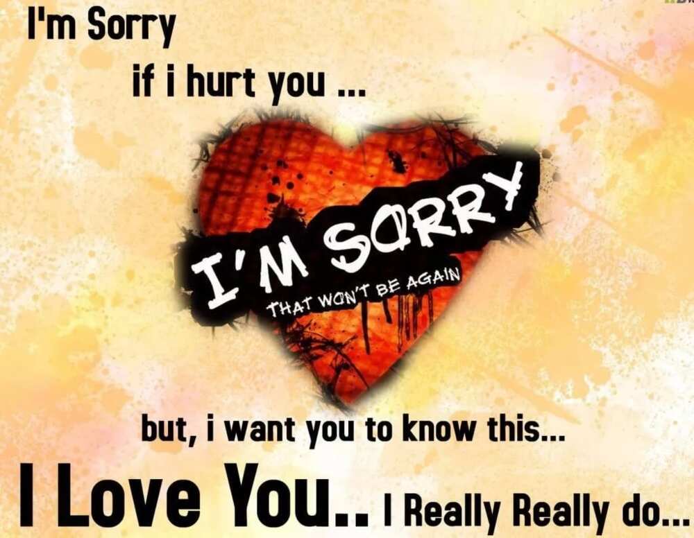 an apology message to your girlfriend
deepest apology message
apology romantic message for her
apology message for break up