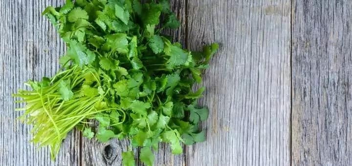 parsley leaves benefits
parsley leaves in twi
parsley leaves health benefits
parsley leaves in ghana