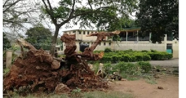 Fallen tree kills GHANASS student, injures 7 others