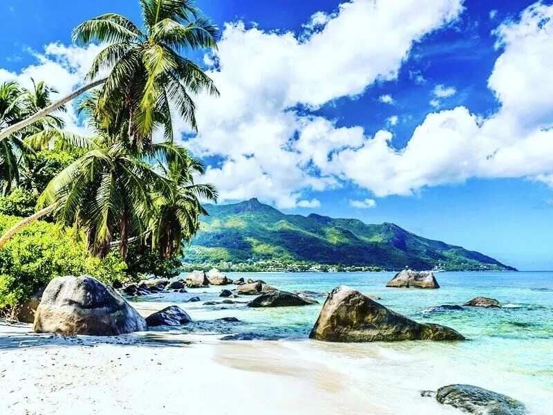 islands in west africa
most beautiful islands in africa
how many countries in africa including islands
man made islands in africa
private islands in africa
best islands in south africa
groups of islands in africa
main islands in africa