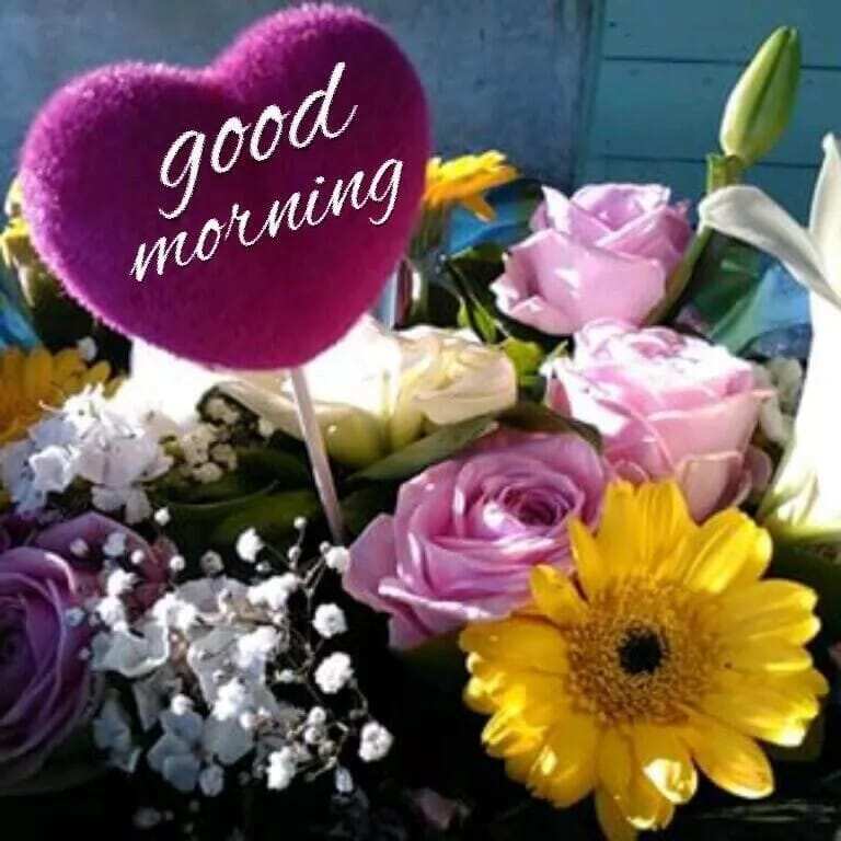 friendship day good morning messages
good morning messages for him to make his day
good day cute messages