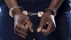 Five NPP youth arrested for attacking NADMO boss