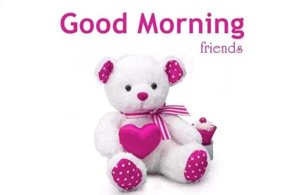 friendship day good morning messages
good morning messages for him to make his day
good day cute messages
