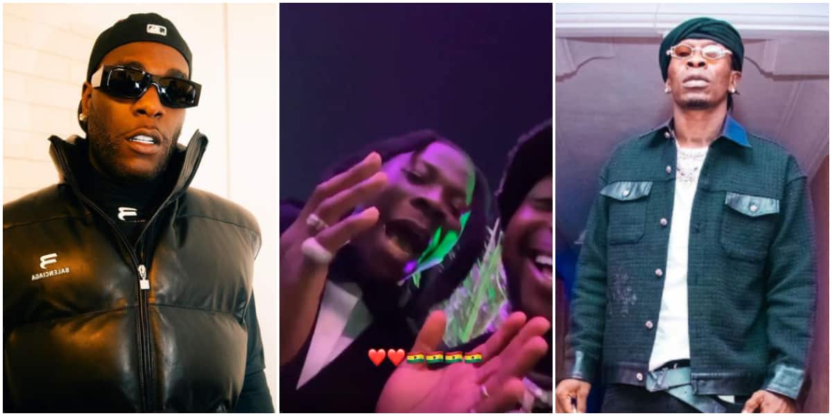 Shortly after Burna Boy challenged Shatta Wale to physical fight, Stonebwoy apologises to Nigerians