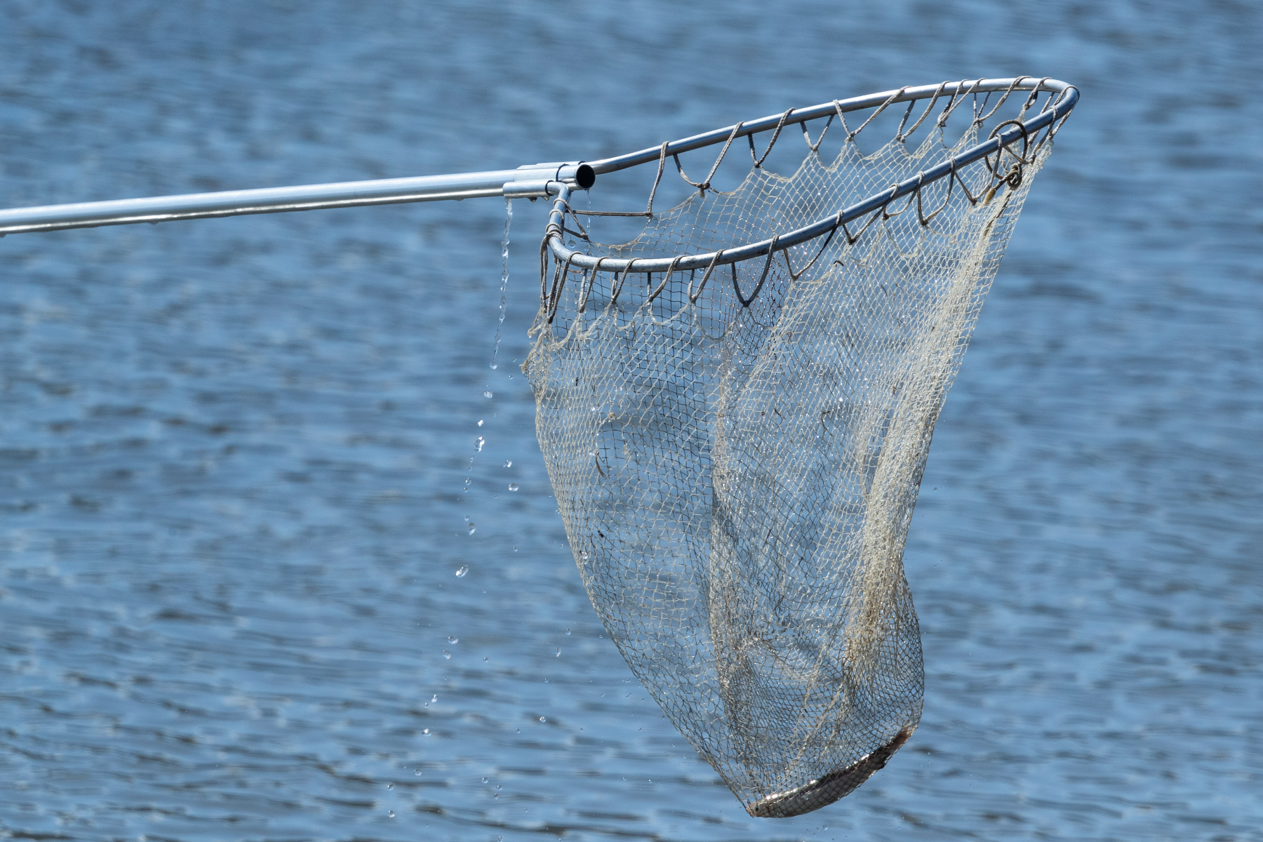 A fishing net is above a water body