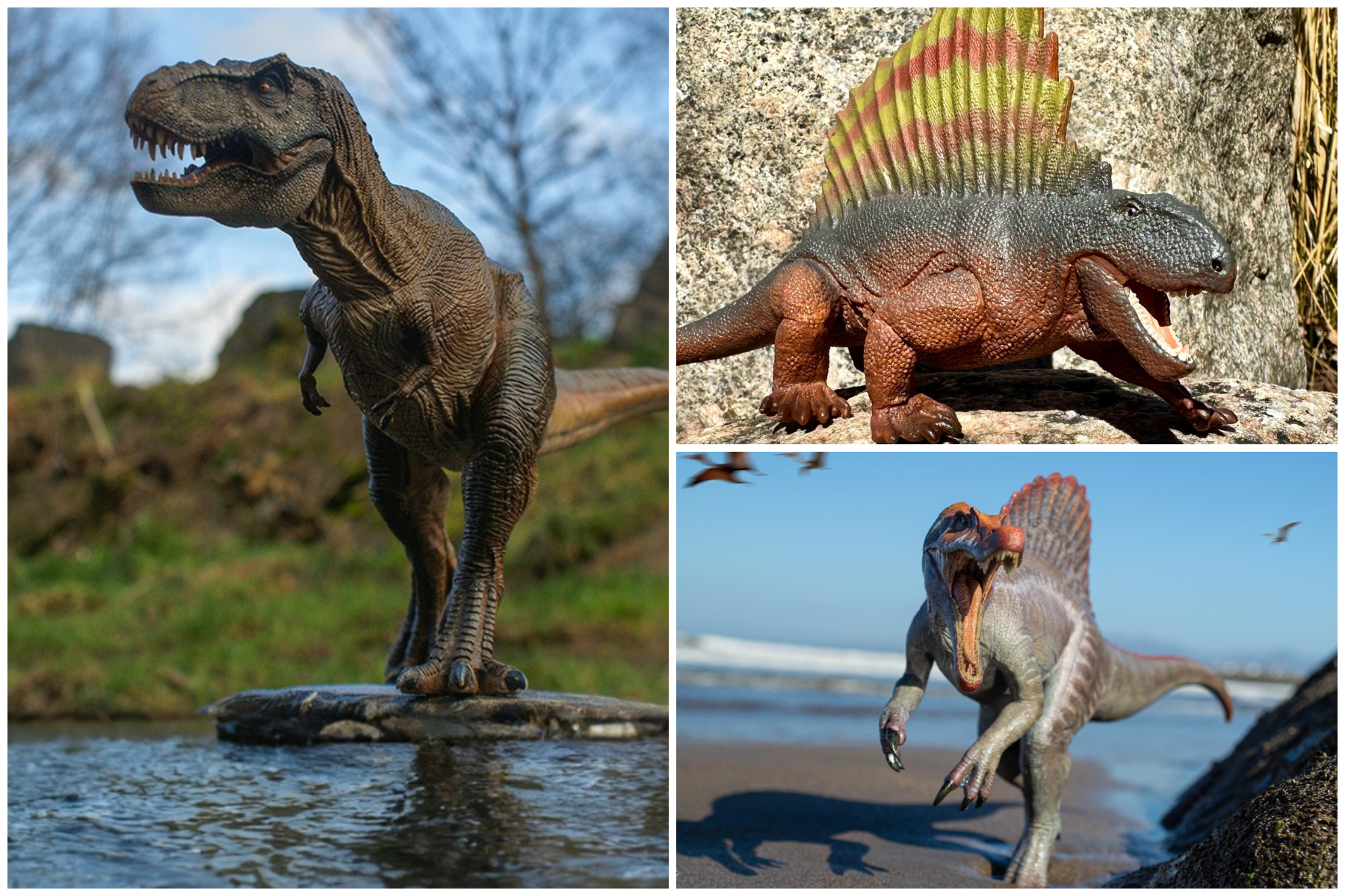 10 of the coolest dinosaurs that ever lived and interesting facts about them