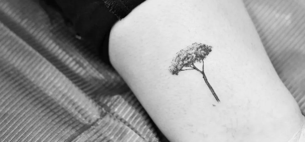 Pin by Gwendolyn Davis on Aspen trees tattoo in 2023 | Aspen trees tattoo, Tree  tattoo, Earthy tattoos