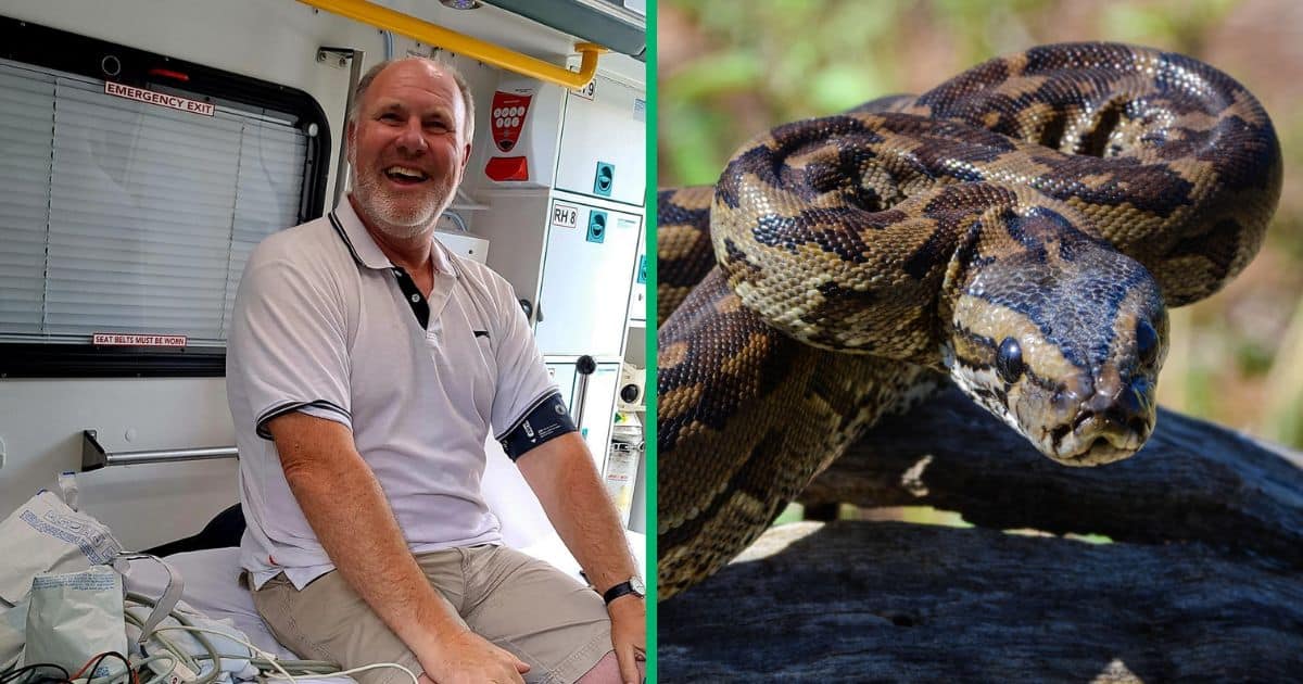 An old man was attacked by a python in his home