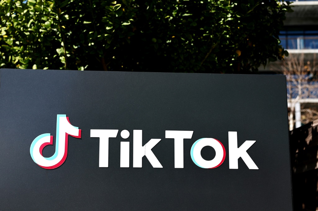 TikTok devotees say platform unfairly targeted for US ban - YEN.COM.GH