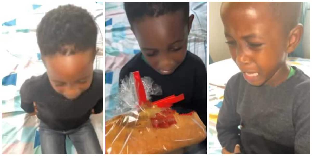 I want a baby sister: Little boy tearfully demands from mom as he rejects her cake gift, video sparks reactions