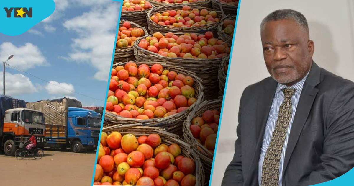 Festus Aboagye Cites Trucks Of Food Stuck At Borders As Evidence ECOWAS Was Too Hasty