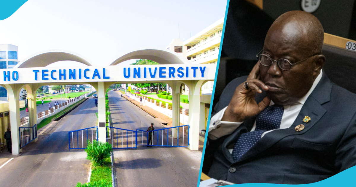 Asogli State renews opposition to Akufo-Addo's renaming of Ho Technical University