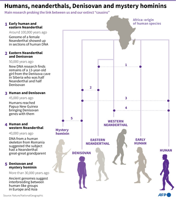 Humans, neanderthals, Denisovan and mystery hominins