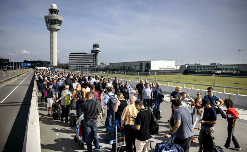 Schiphol CEO quits over Amsterdam airport chaos