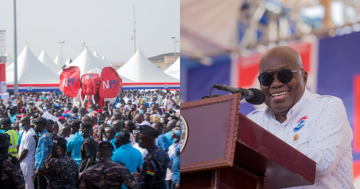 17 Adorable Photos from NPP delegates conference
