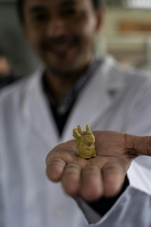 Food engineer Roberto Lemus shows a sample of a candy for children made with cochayuyo seaweed and rice flour, at the lab of Chile's University in Santiago