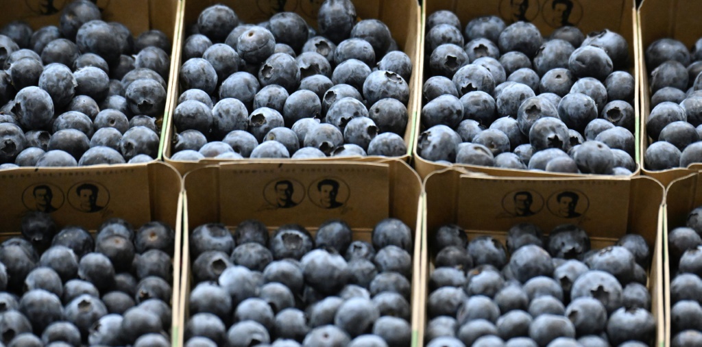 While in 2014, Scottish farmers were paid £17.50 per kilogram for blueberries, today supermarkets pay less than £7, said Thomson