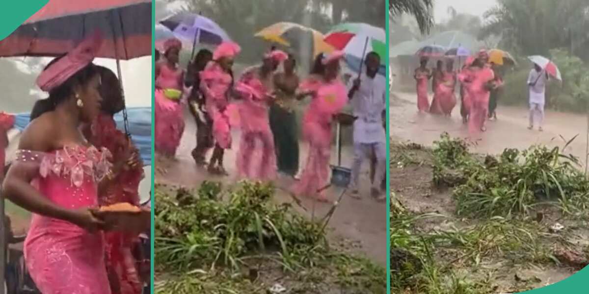 "Marriage must go on": Bride and her friends dance inside heavy rain during traditional marriage