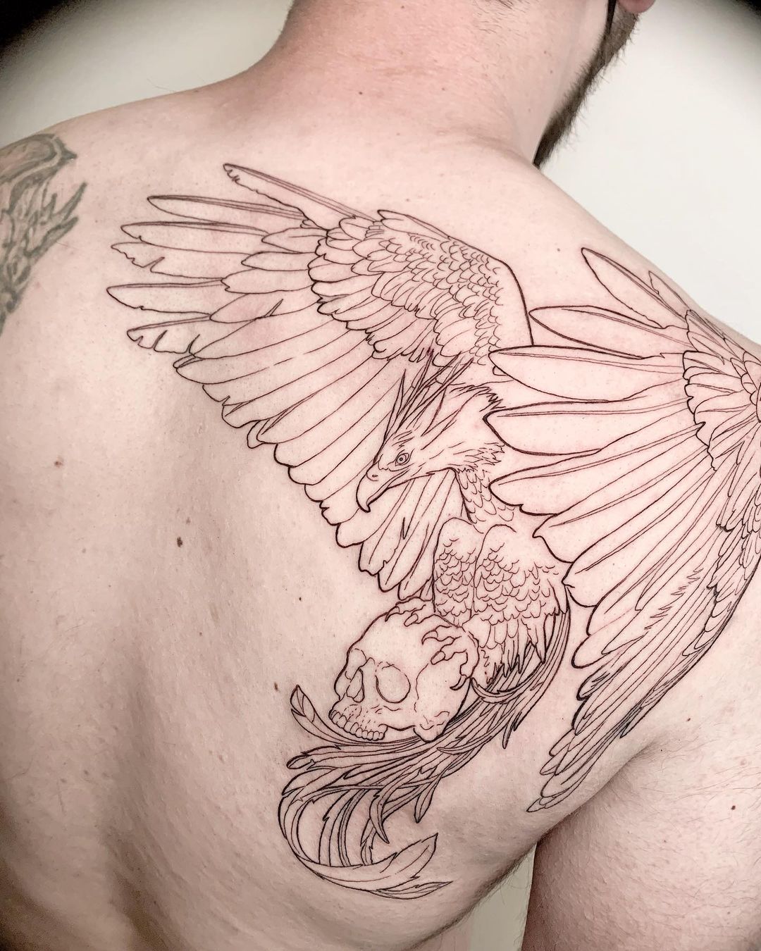 Realistic phoenix tattoo design references – TattooDesignStock