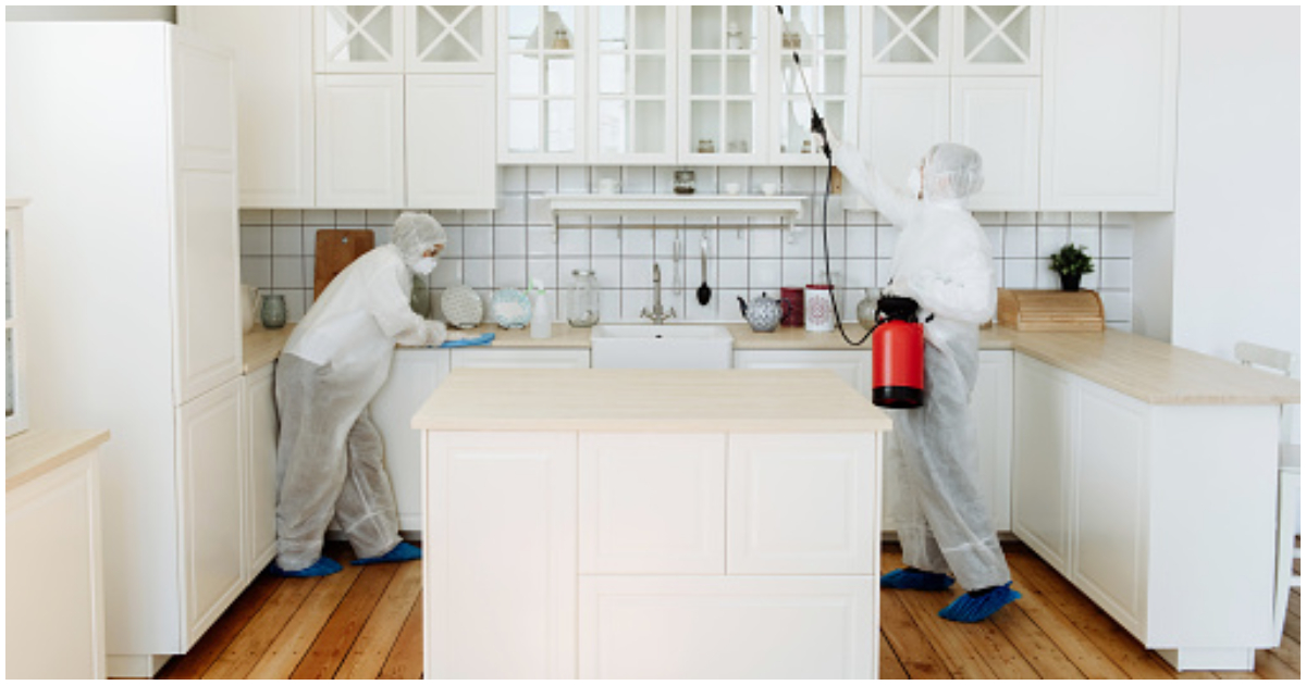 Disinfecting the home against pest infestation