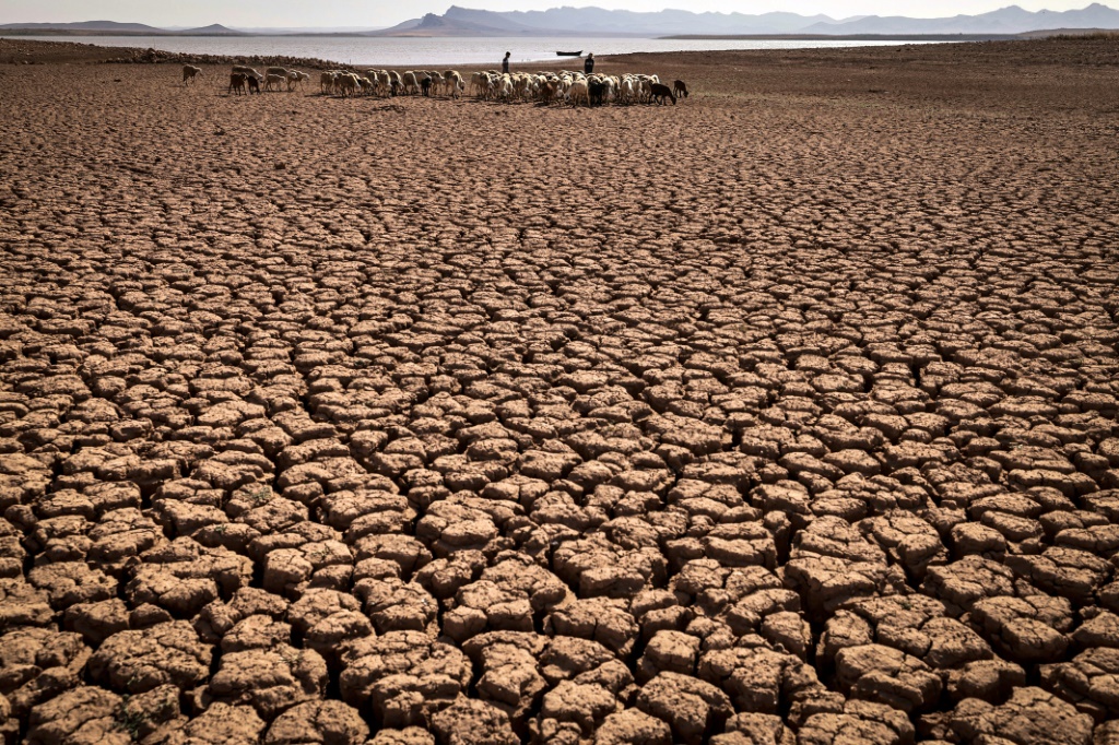 Cracked earth at a dam in Morocco's Ouled Essi Masseoud village, south of Casablanca, amid the country's worst drought in at least four decades, seen on August 8, 2022