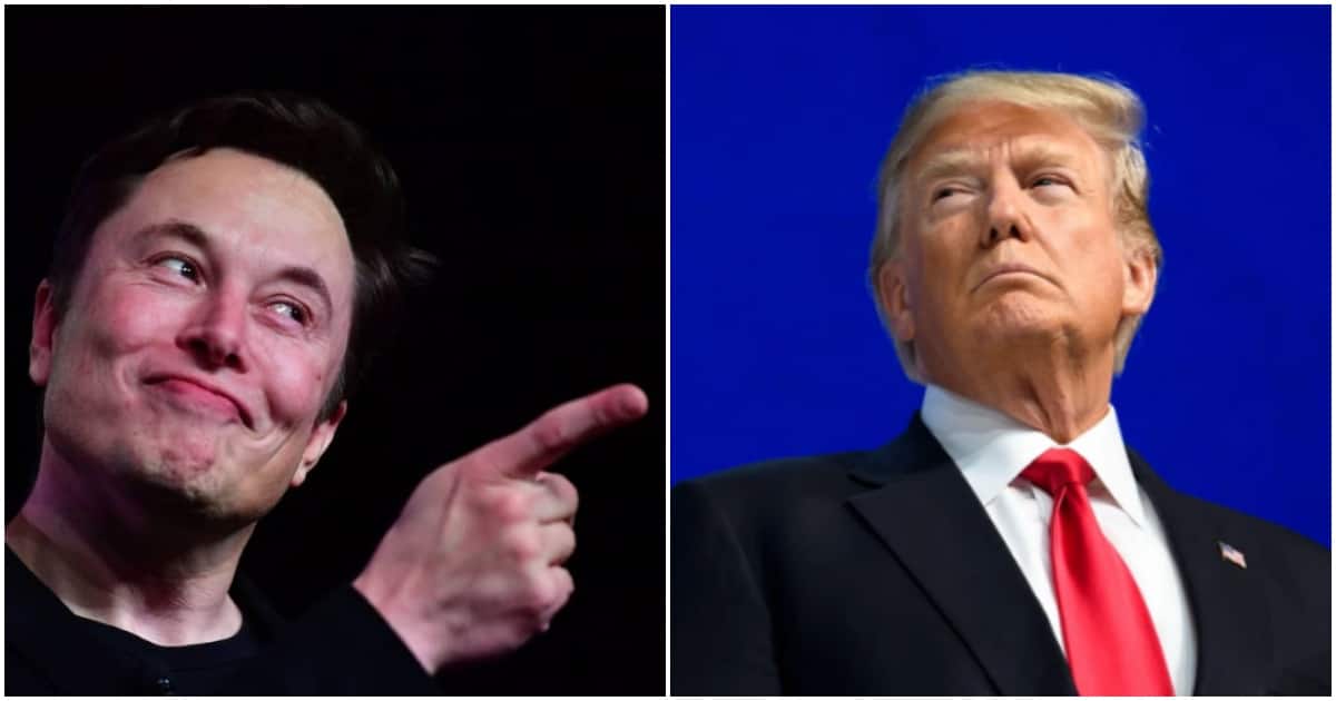 Donald Trump vows not to rejoin Twitter after close friend Elon Musk buys Platform