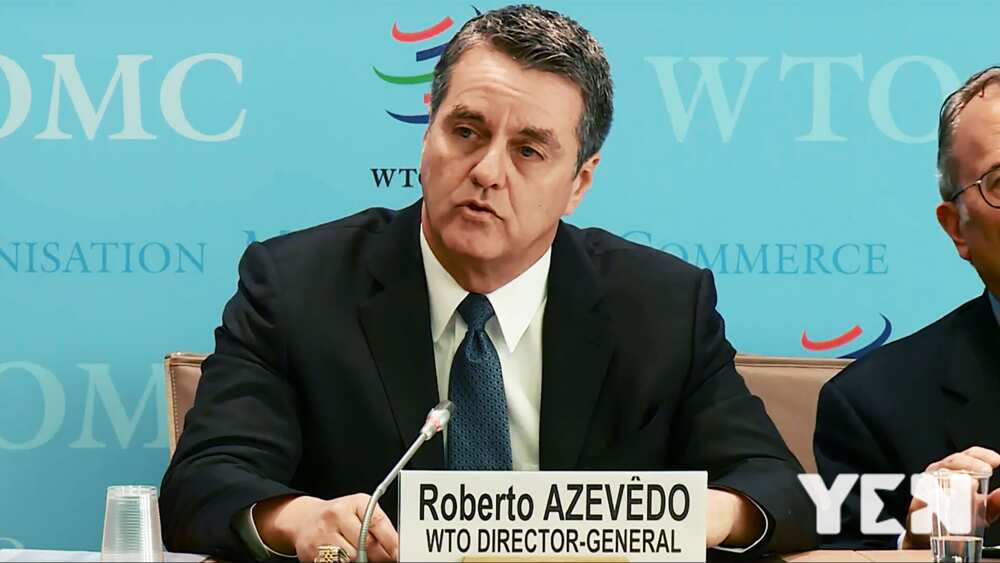COVID-19: WTO hails measures on trade policies; gives economic recovery tips