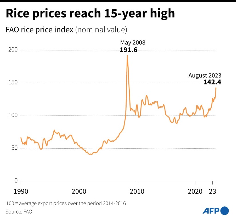Rice prices reach 15-year high