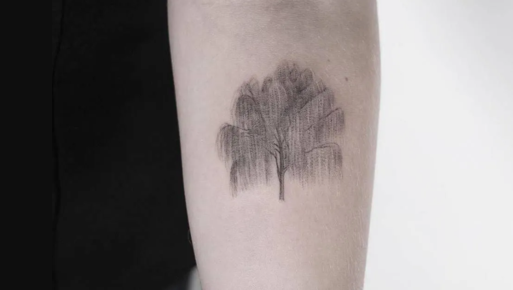 Willow Tree Tattoo Meaning And Symbolism  Psycho Tats