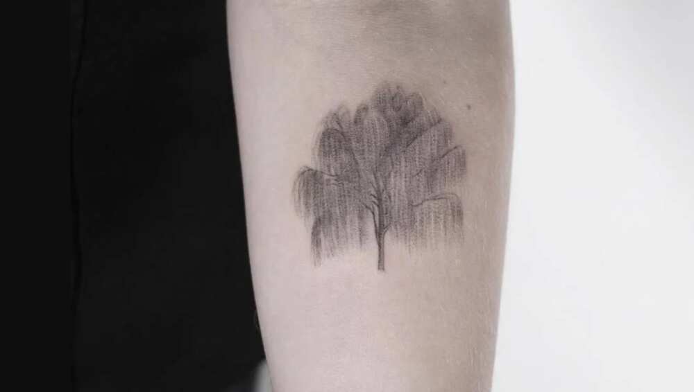 tree of life tattoo ideas
