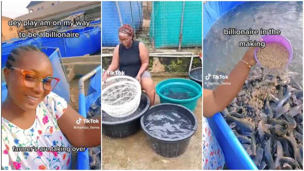 Fish farming in Nigeria/lady shows off her pond.