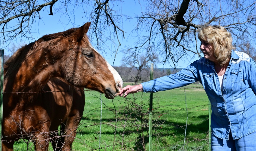 Mary Rickert, a Republican elected official from Shasta County, California, tends to a horse on her ranch
