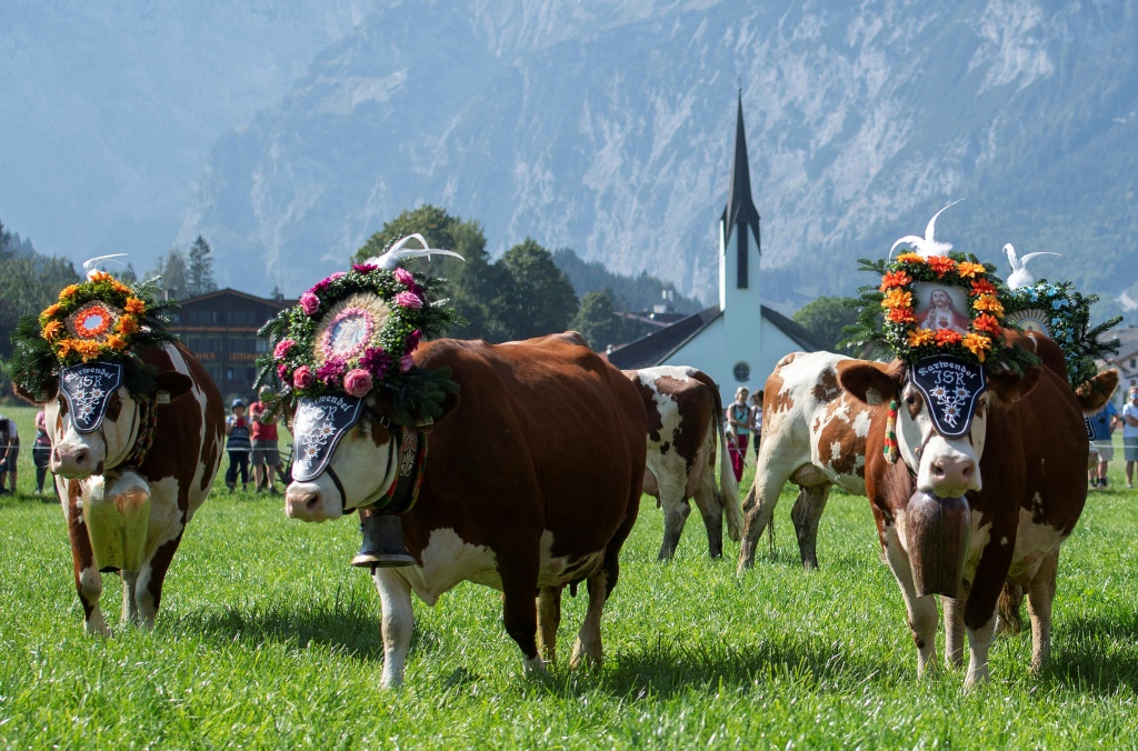 A winter tourism advert for the Austrian Tyrol region featuring oat, not cow's, milk has provoked a row and been pulled