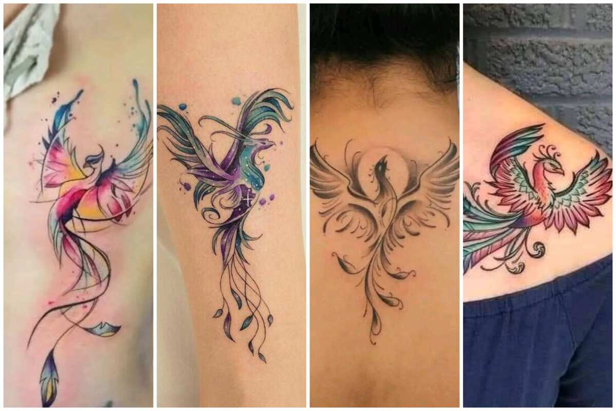 delicate phoenix tattoo