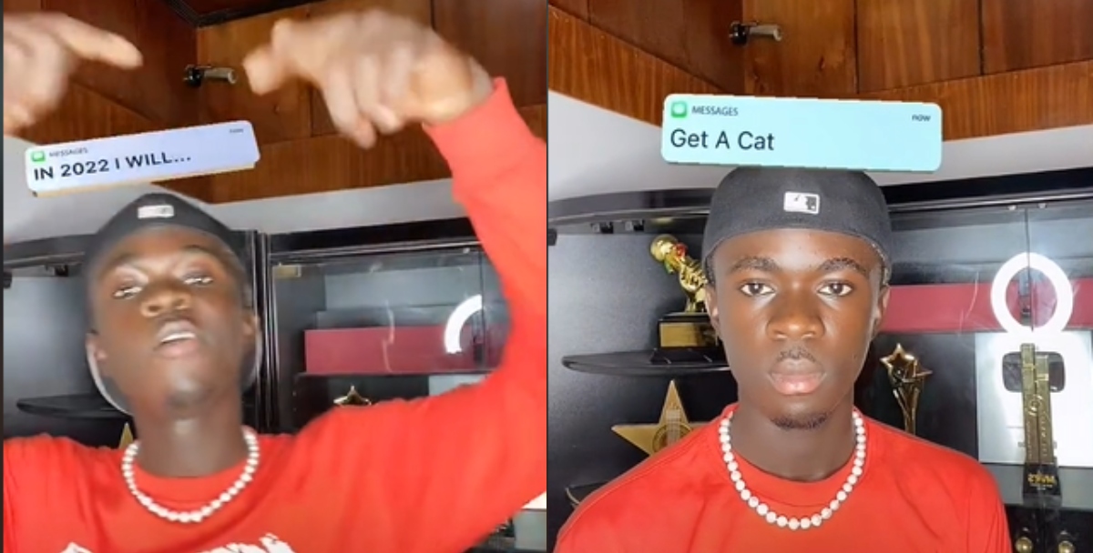 You'll get a cat - TikTok predicts Yaw Tog's future in 2022; his face turns sour in hilarious video