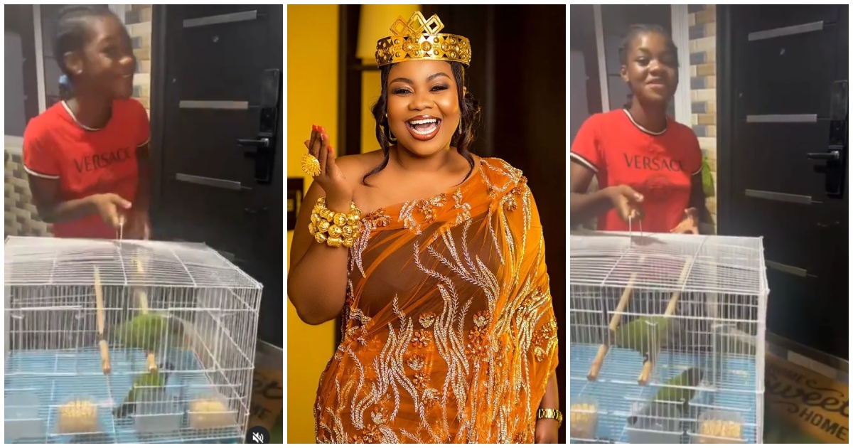 Empress Gifty: Ghanaian gospel artiste gifts daughter Cessa Osei parrots on 13th birthday, touching video drops