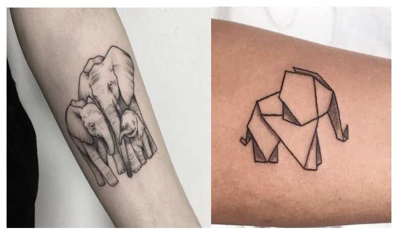 Top 5 Small and Simple Elephant Tattoos  Noon Line Art