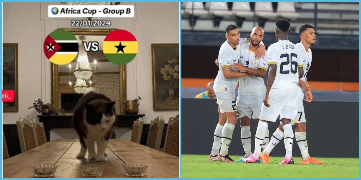 AFCON 2023: Magic Cat Predicts Win For Black Stars In Ghana Vs Mozambique Match