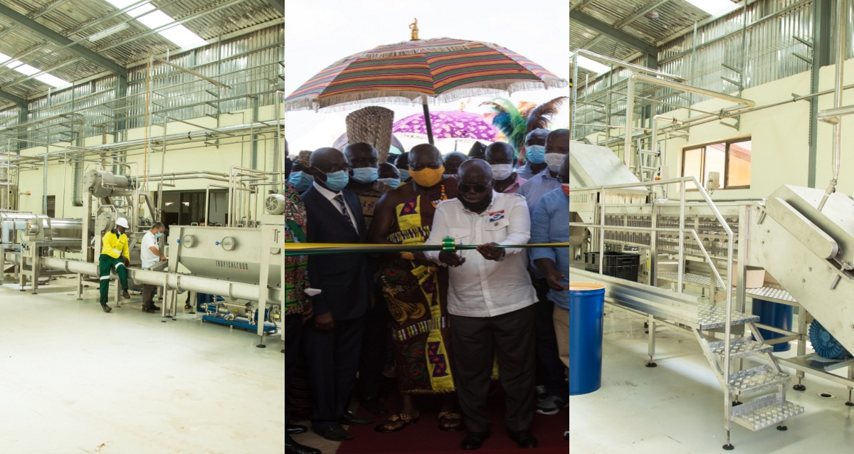 1D1F: Akufo-Addo commissions multi-fruit processing factory