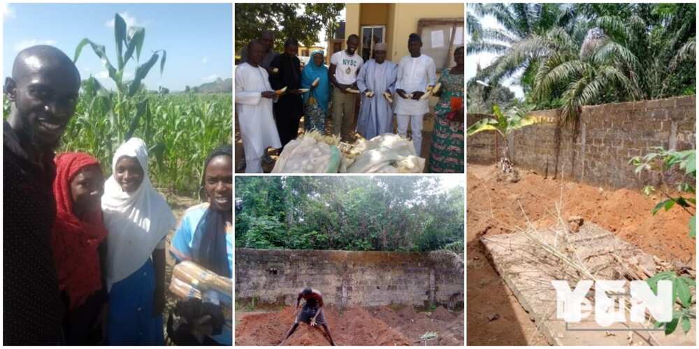 Chiemezie Ezeani: Another Nigerian Graduate who Has Taken Farming as a Full Time Occupation, Shares His Story