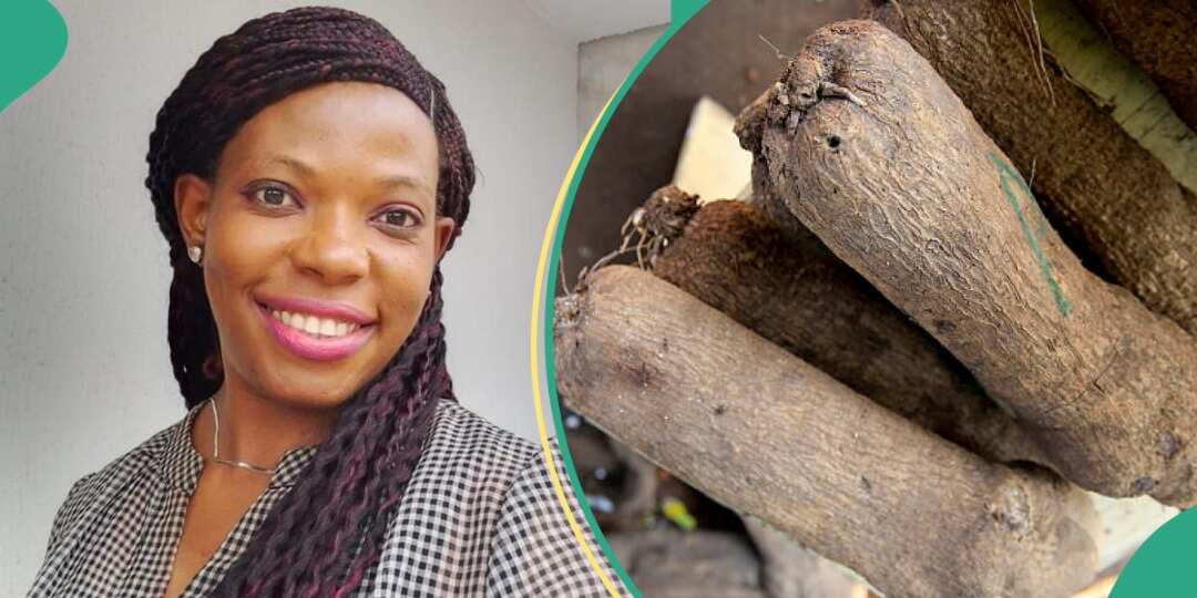 Lady speaks on cost of yams