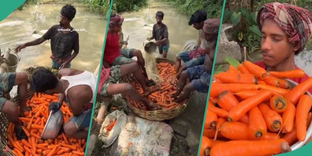 Viral Video Shows Group Of Men Using Their Feet To Wash Basket Of Carrots:  This Is Not Hygienic - YEN.COM.GH