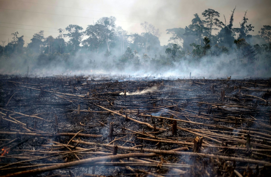 Smokes rise from a forest fire -set and controlled by locals for farming purposes- in the Tambopata region, southern Peruvian jungle on September 01, 2019.