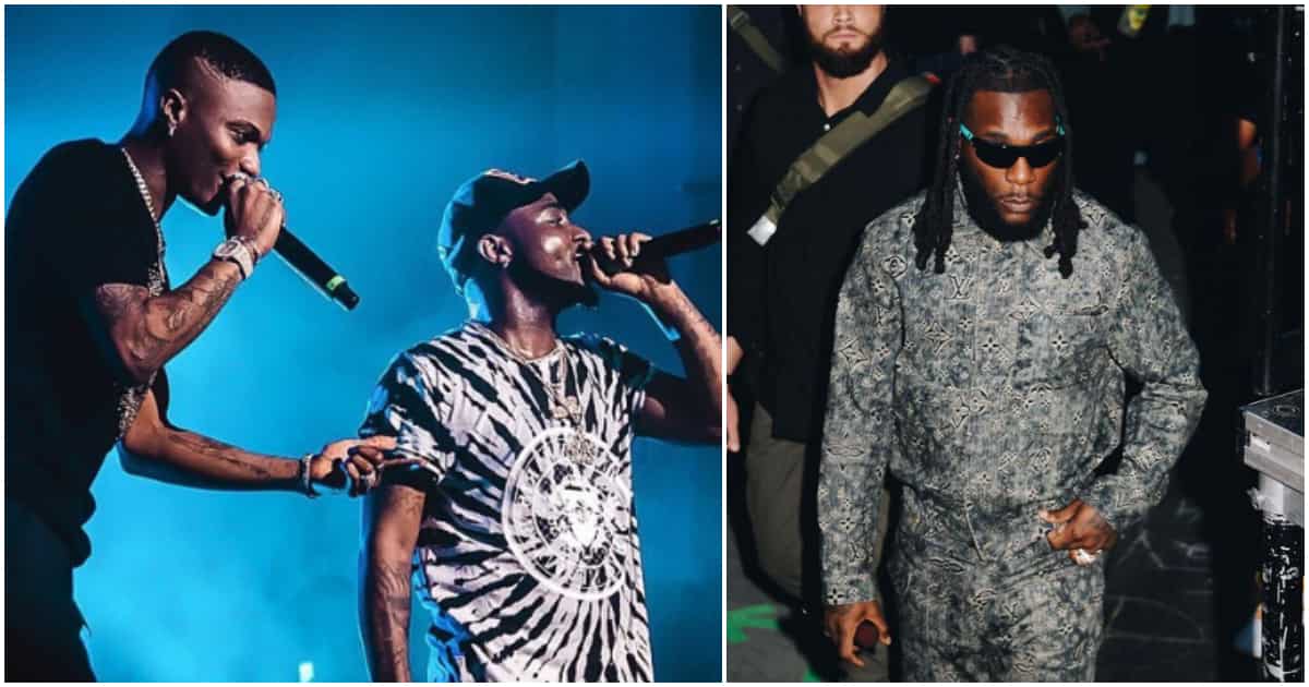 Davido calls Burna Boy new cat, says he and Wizkid were first to blow up.