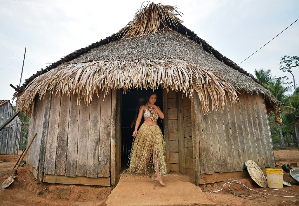 Fewer than 200 members remain of the Urue-eu-wau-wau tribe, traditionally hunter-gatherers who live in a protected area of Brazil's Amazon rainforest, surrounded and encroached upon by aggressive and illegal settlers, farmers and loggers