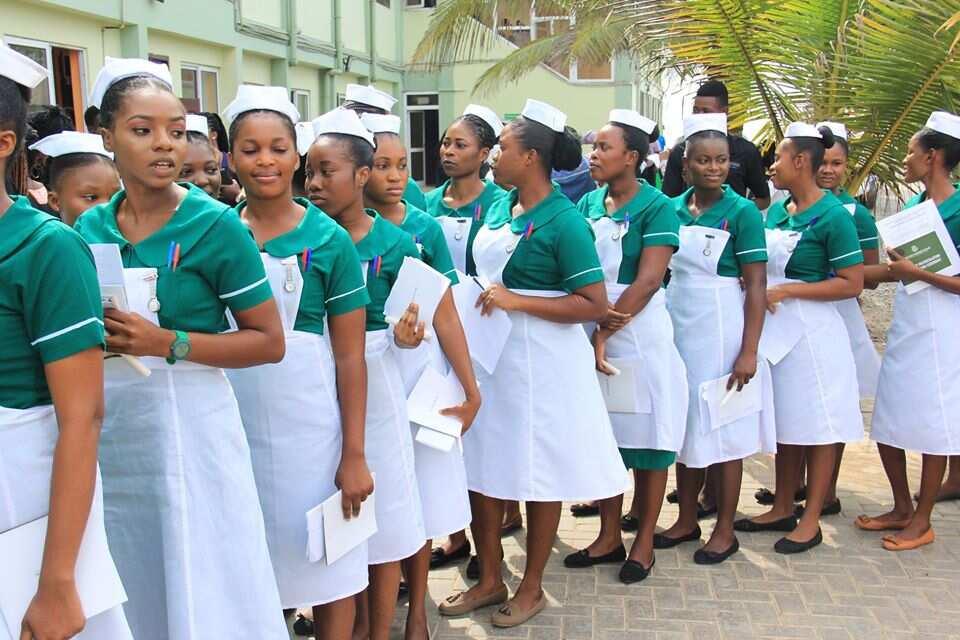 nursing-schools-in-ghana-courses-offered-fees-admission-requirements