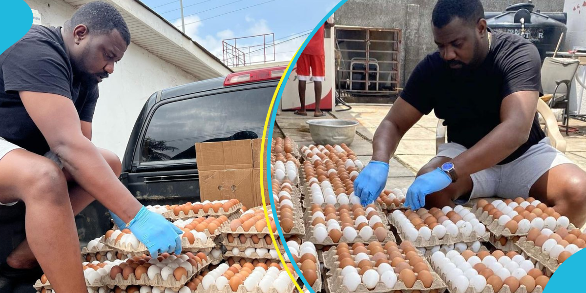 John Dumelo harvests over 1000 eggs from his farm, flaunts them in photos: "Sold out in minutes"