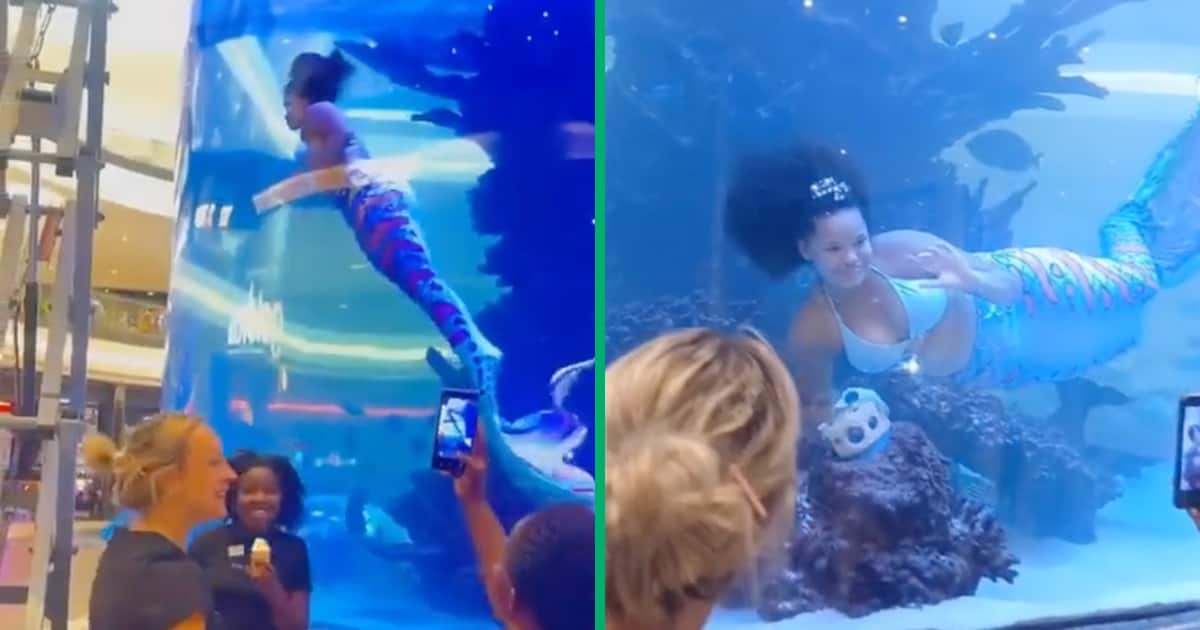 Mall aquatic tank mermaid goes TikTok viral after tail gets caught in reef, peeps react to video